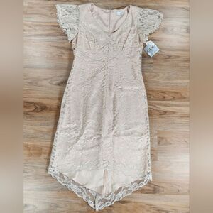 🔹️NWT CDC Cream Lace Hi-Low Flutter Sleeve Dress Size 12